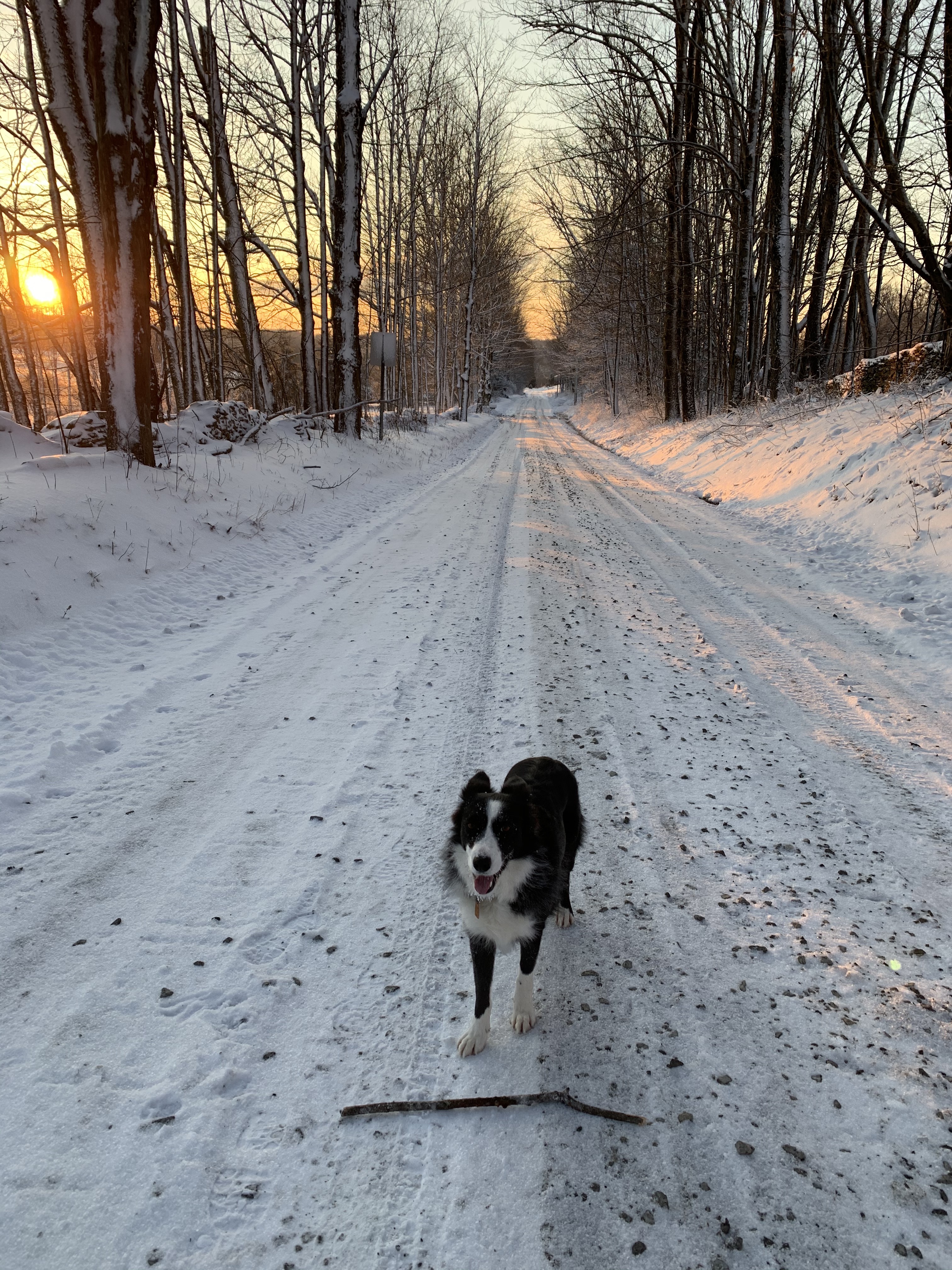 e5qW4tIVRkGNmIZTf+l58Q