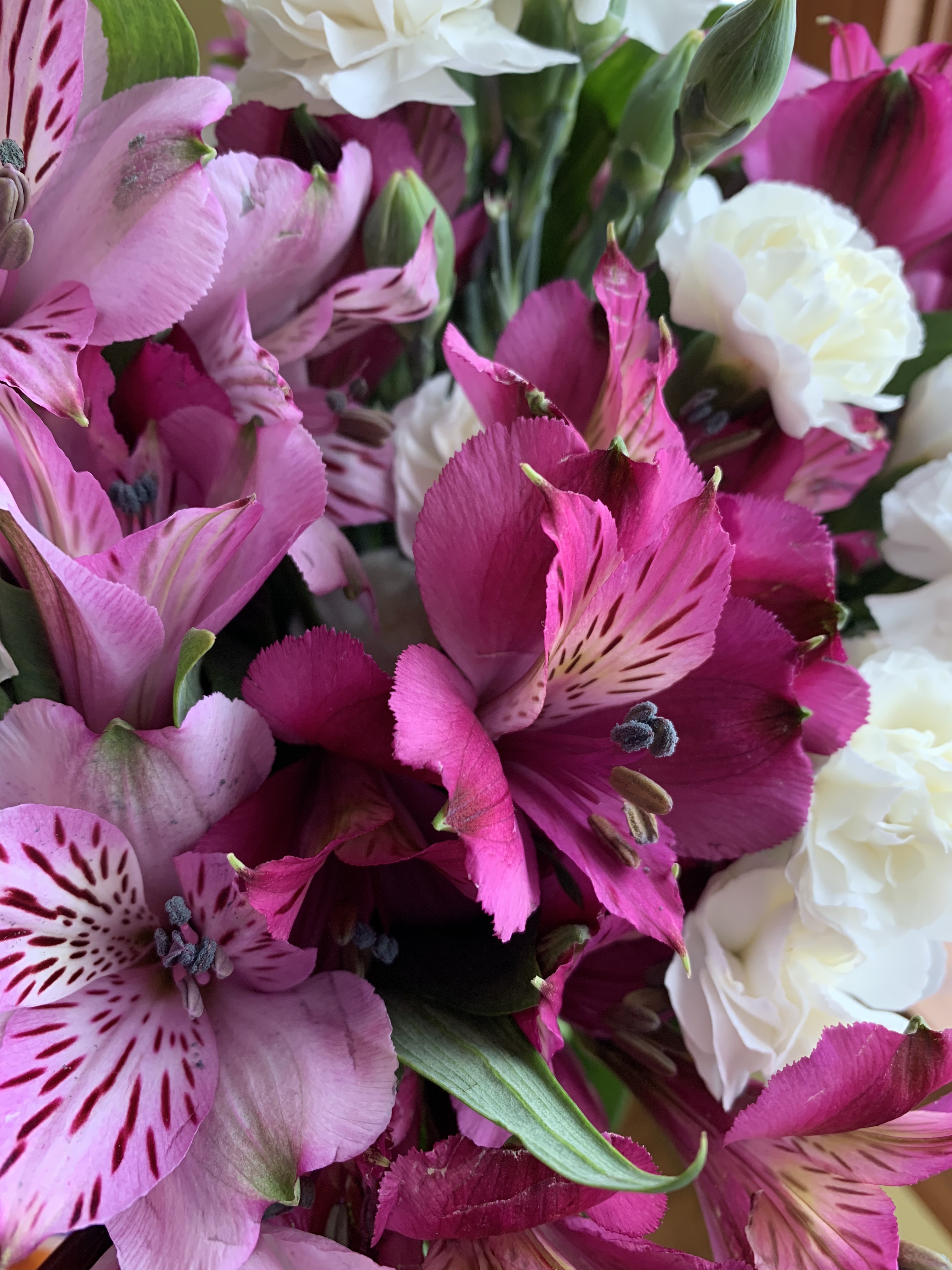 ulVNP%mmT+iFnJmjgQbEdg