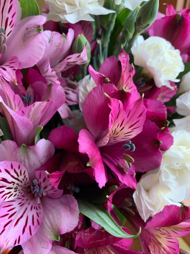 ulVNP%mmT+iFnJmjgQbEdg