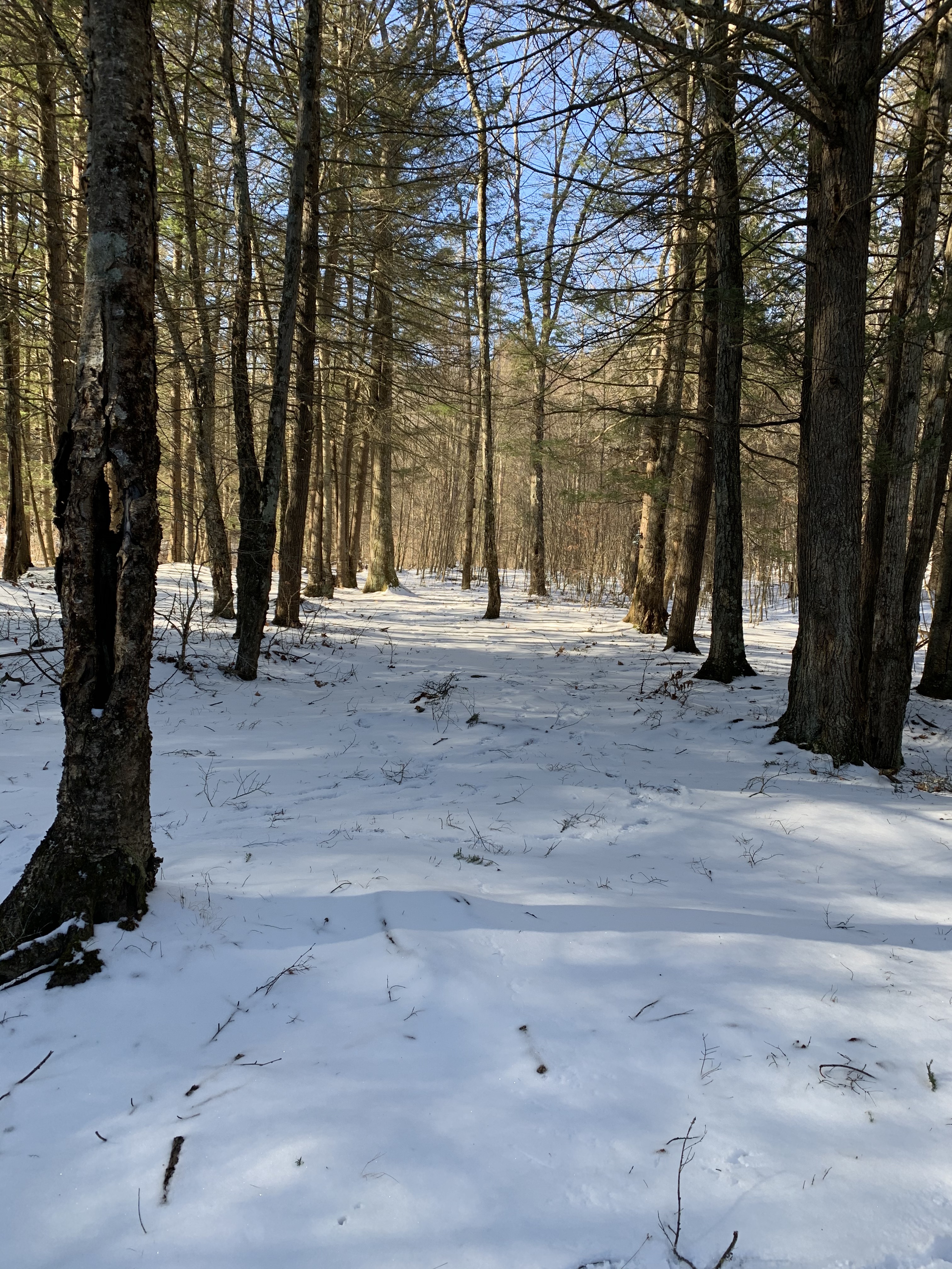 1%qeYeiAT6OMB9pcMXdktQ