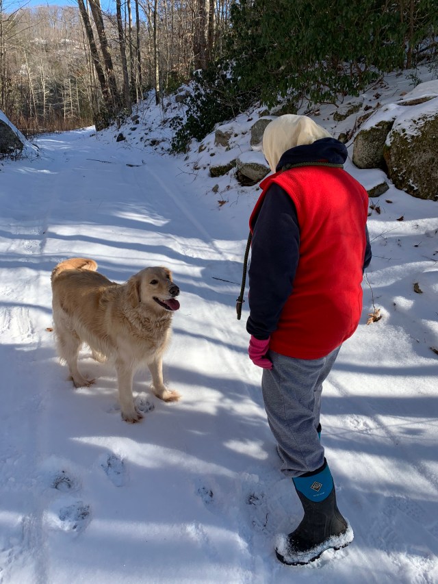 +2ftseTUTraO+VnK%sSafQ