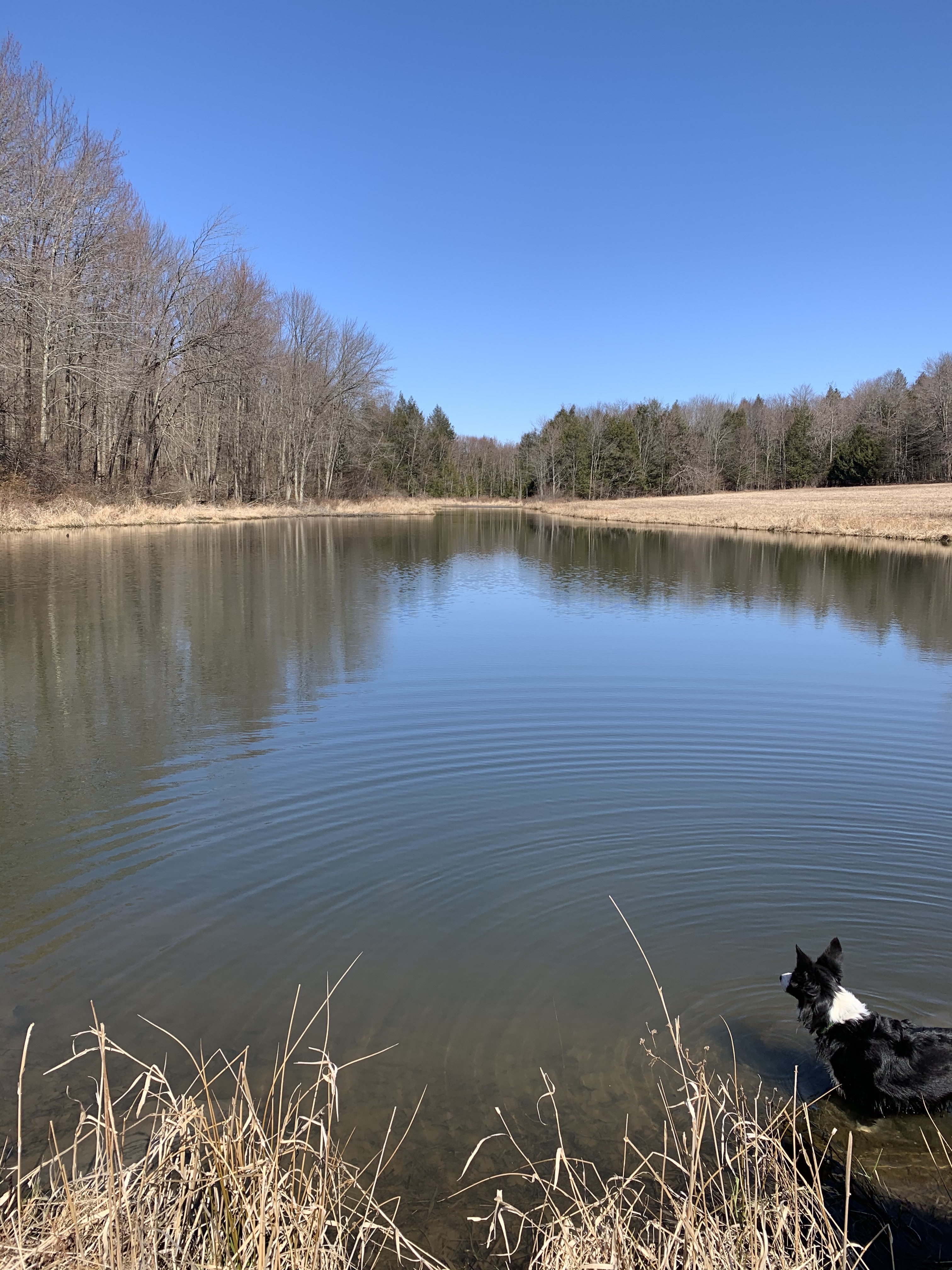 02v9YJoiRw6YBN2b5j9TQw