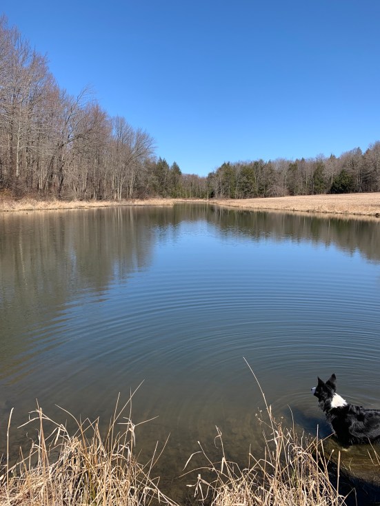 02v9YJoiRw6YBN2b5j9TQw