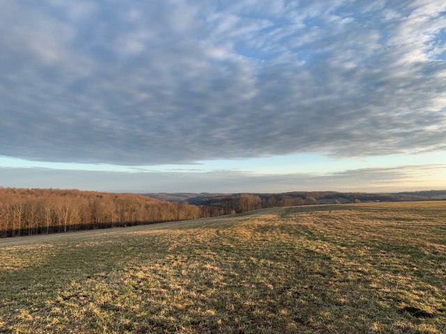 AmrCS35wRLKOW5KZ0nj2mQ