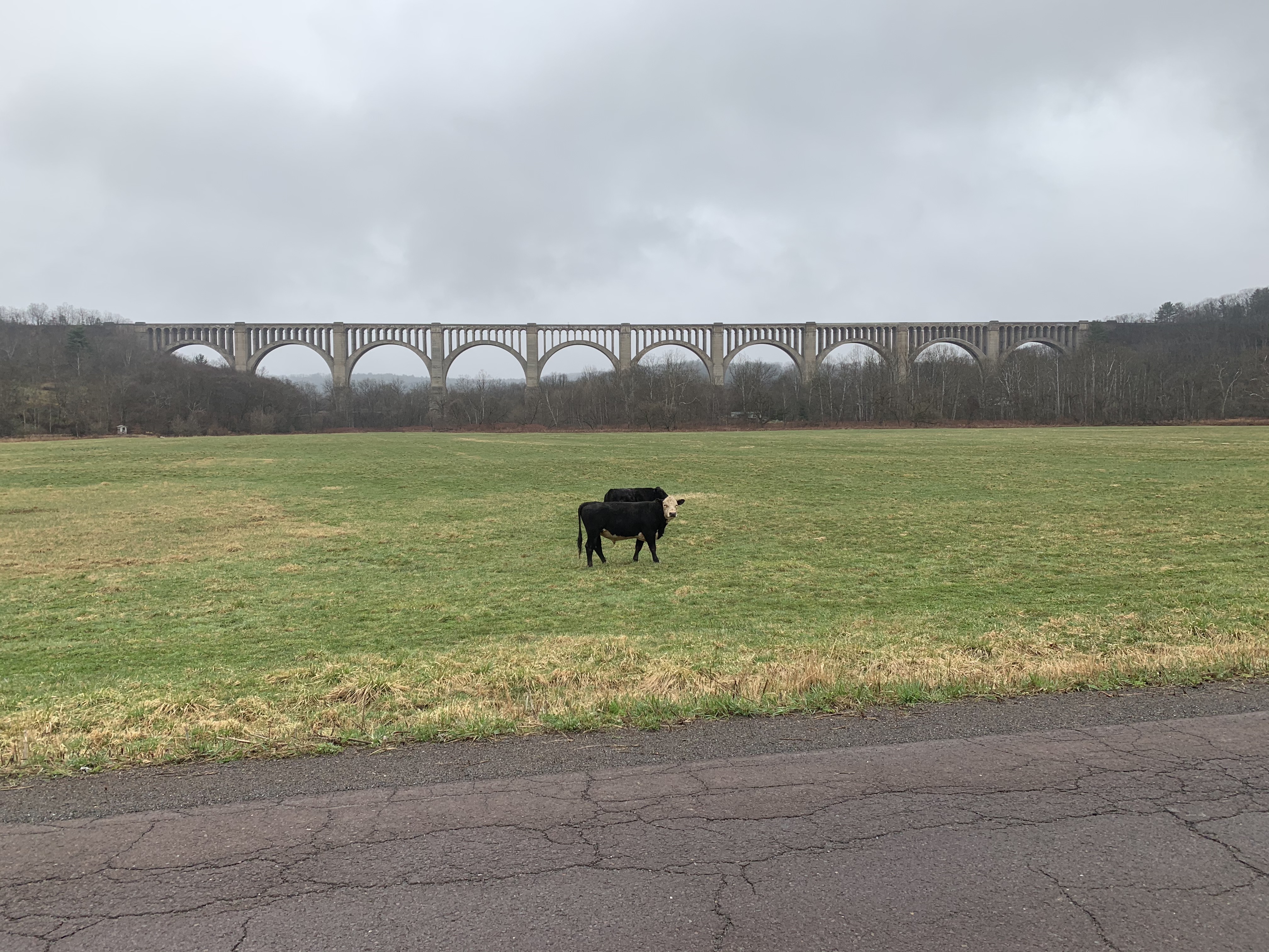 vecJQpcIRY6DlGK7DrZVog