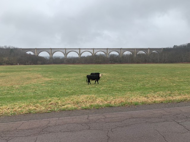 vecJQpcIRY6DlGK7DrZVog