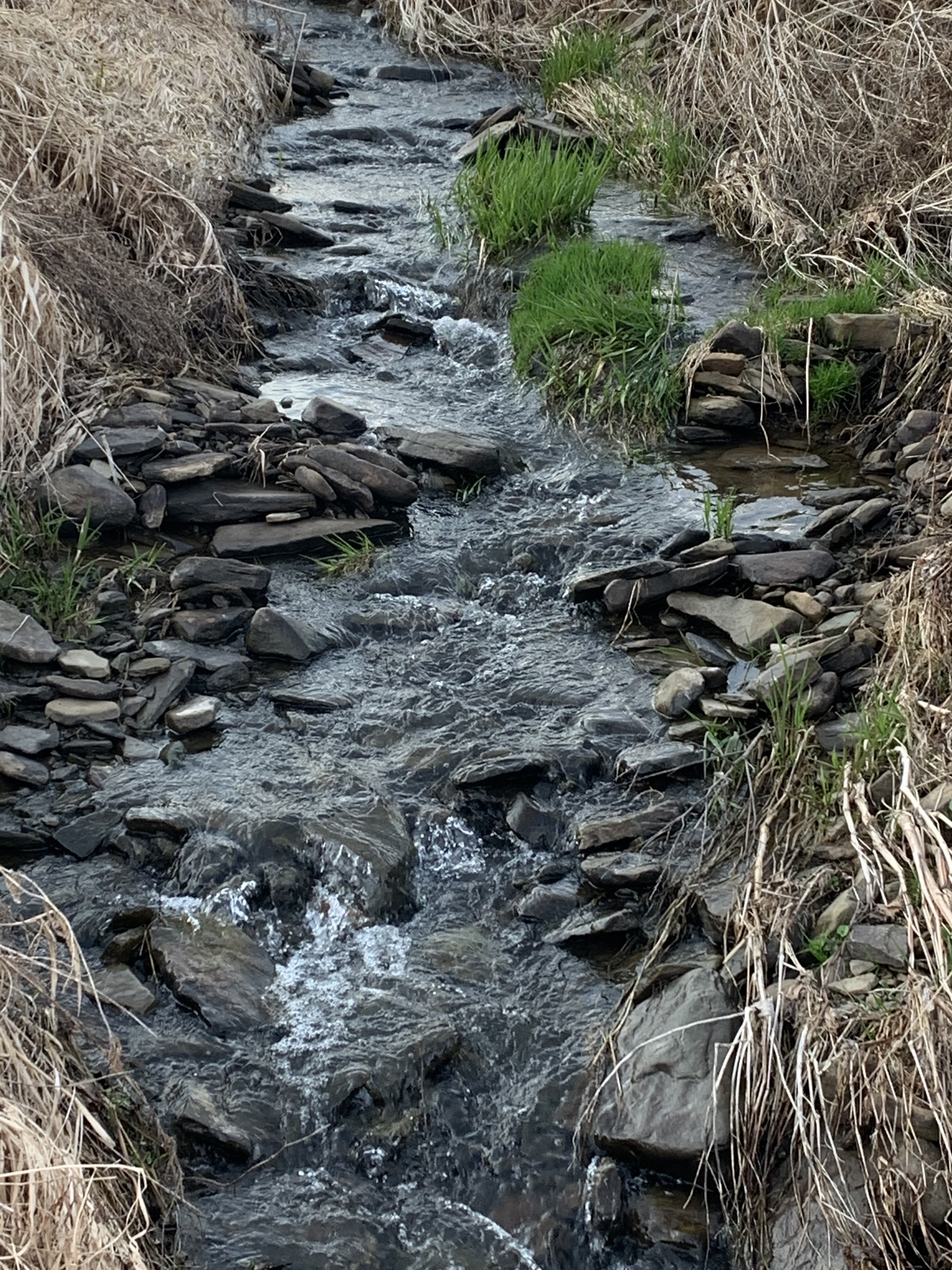 ZTPUYGflTYO4vt6l2xtf3g