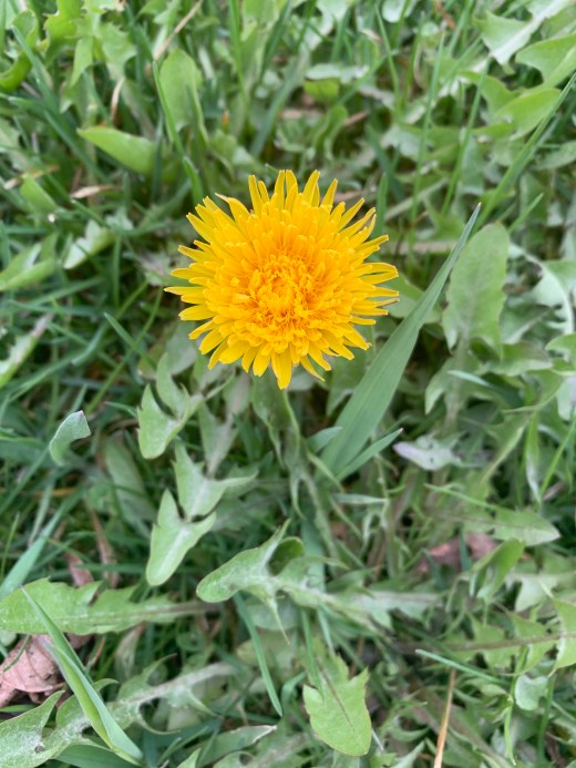 1qdDsFb1RPWHf%fmyYQegg