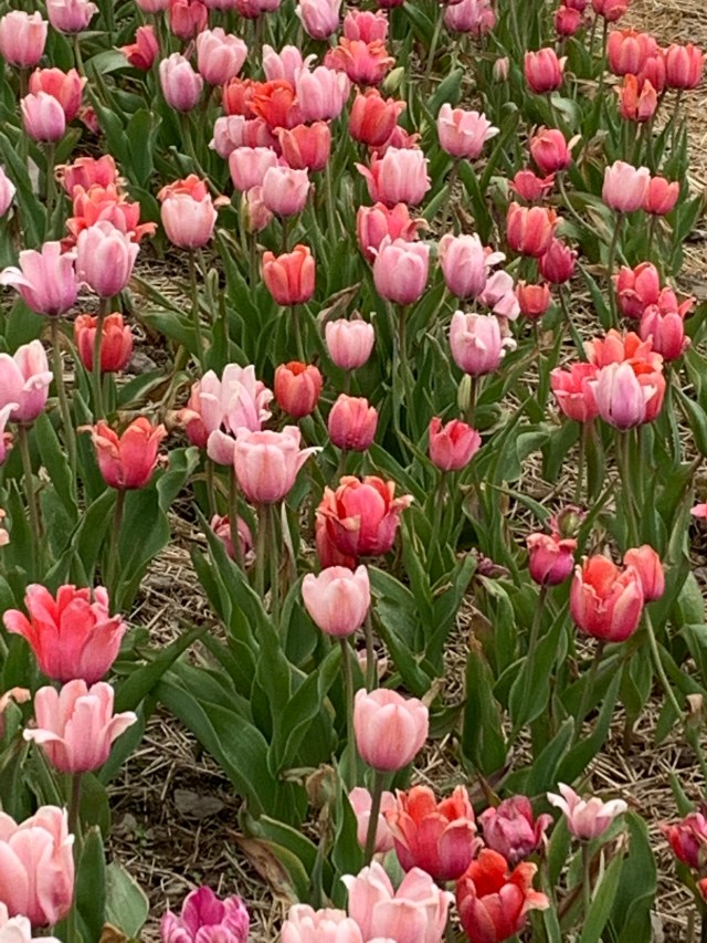 dJNLNuXFTy+uUOu%zKA3Ww