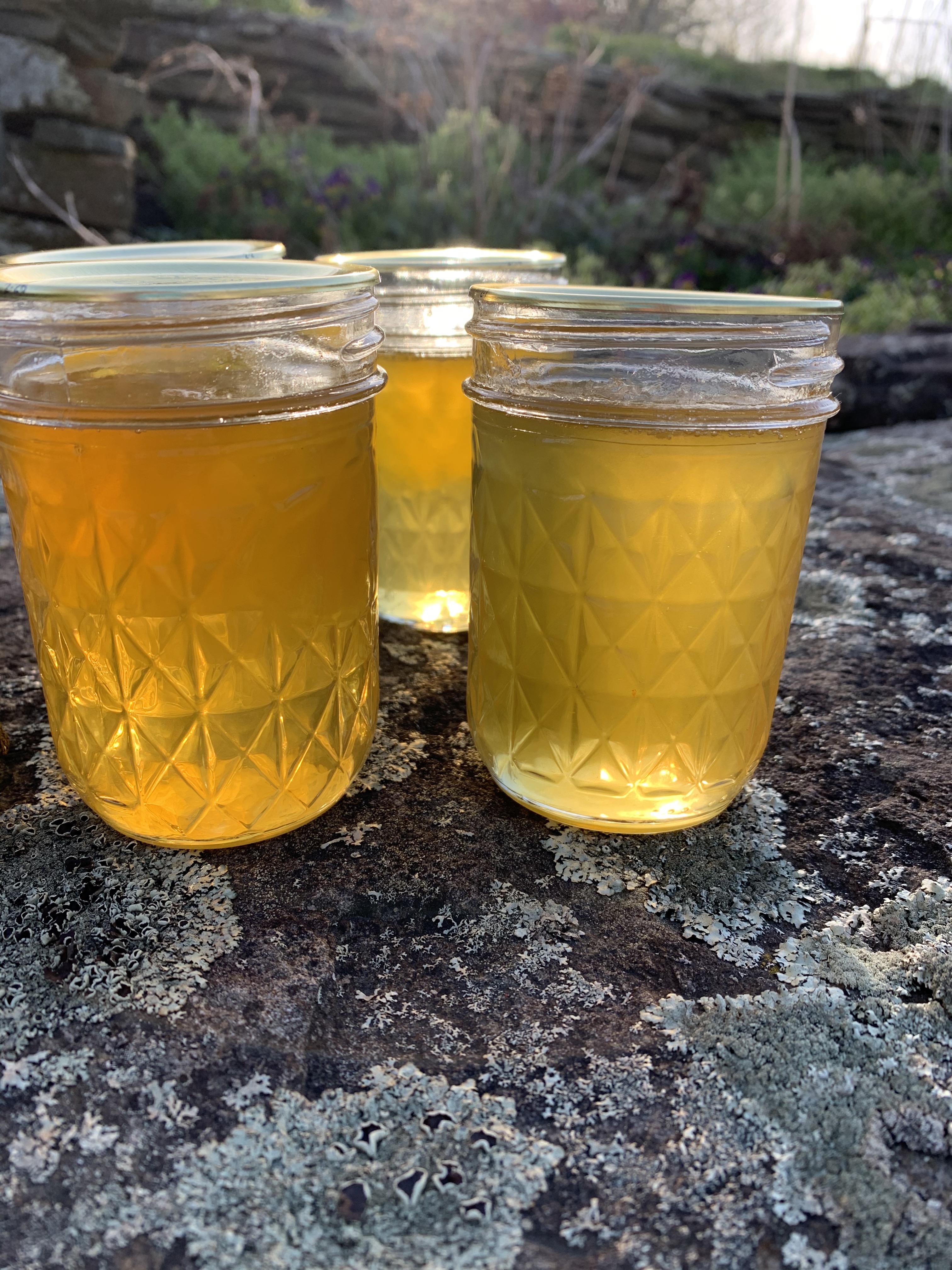 eHF+ygzWTmeo6ydjxH1a%A