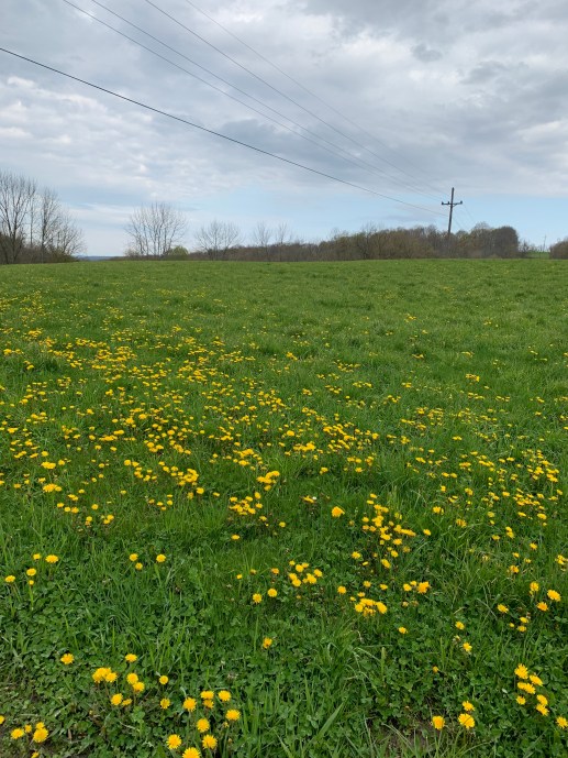 I5Q85QfzTz6CEElwYAu7GA