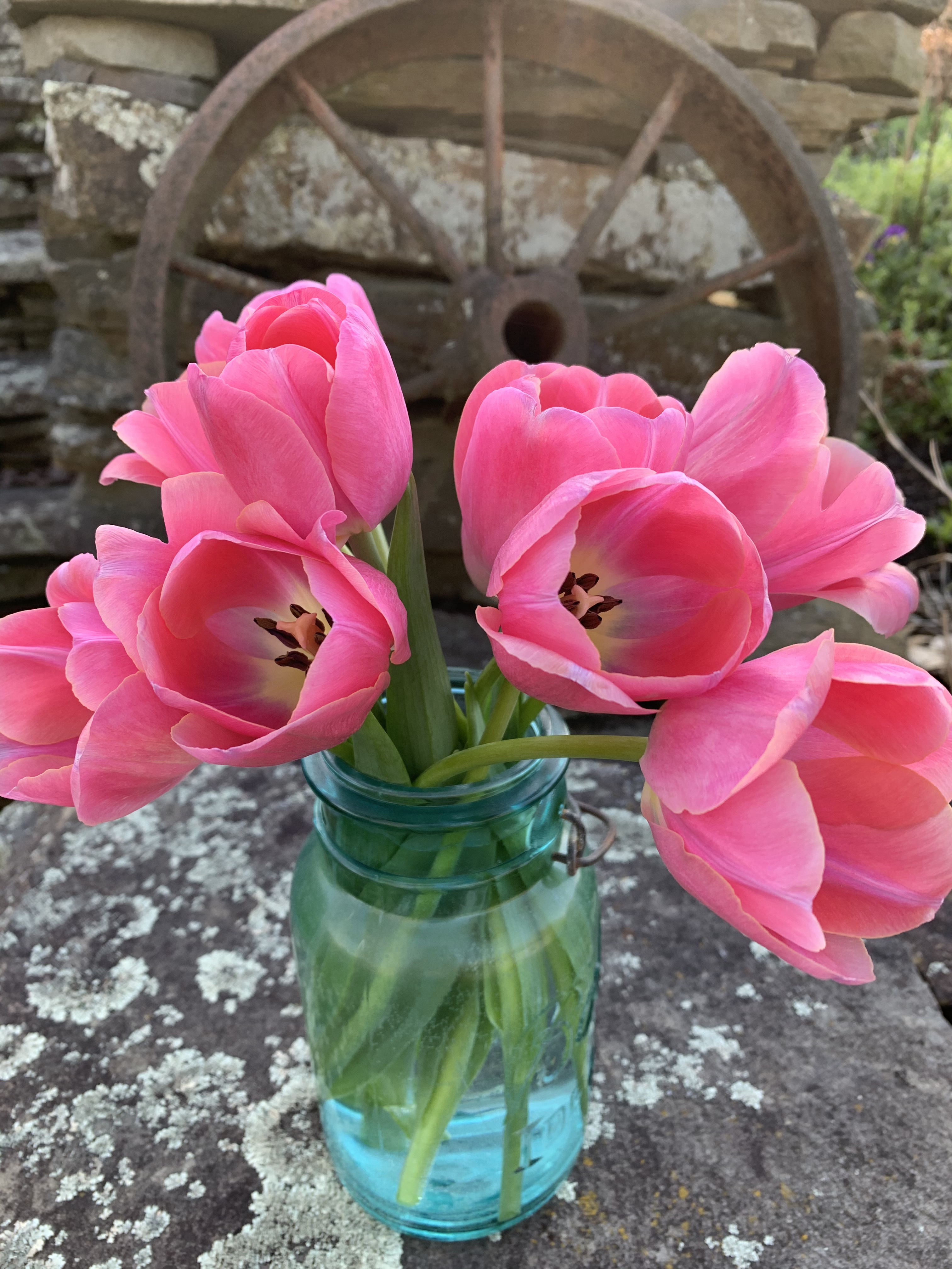 NkTPUuA6RM2OhZ1ZG8GfWg