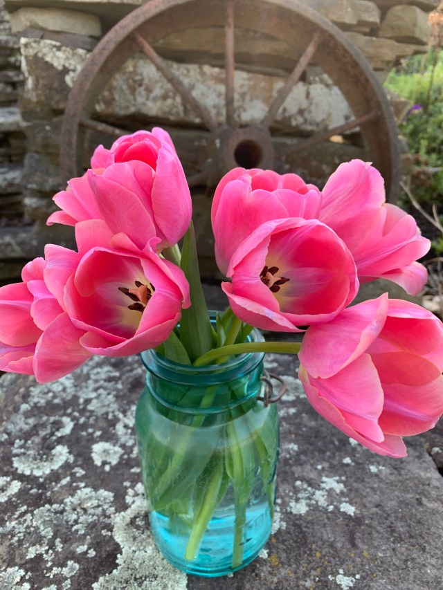 NkTPUuA6RM2OhZ1ZG8GfWg