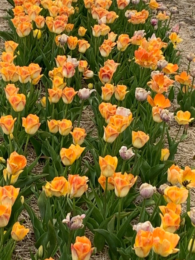 nRI6ebDCTXSHVcW6rytfKw