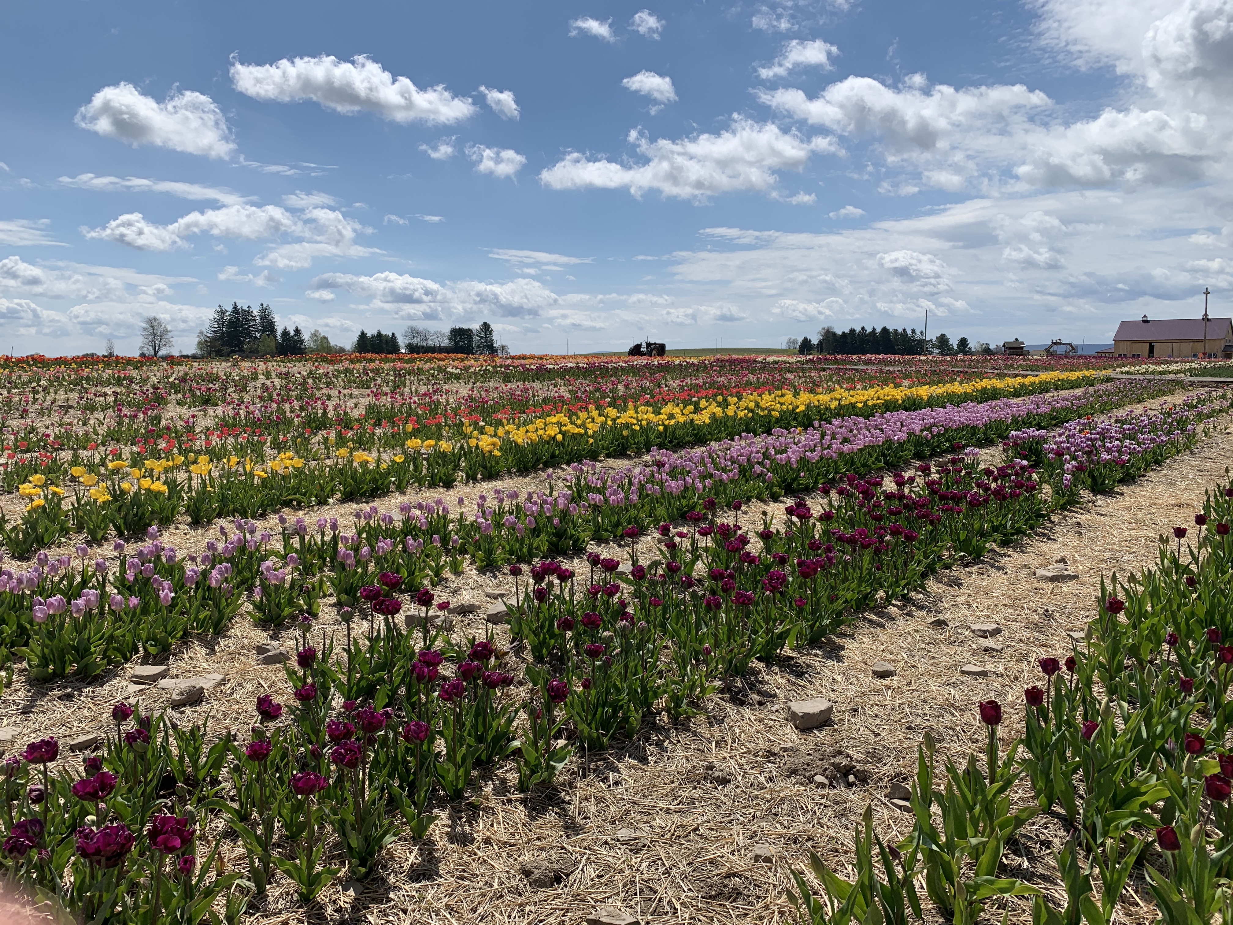 o5iUVum7RGymEOhNtdR1Cw