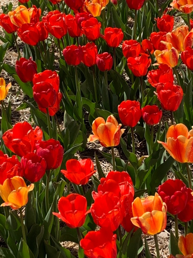 QdSMIQGJS8CUnxy+aXcUPA