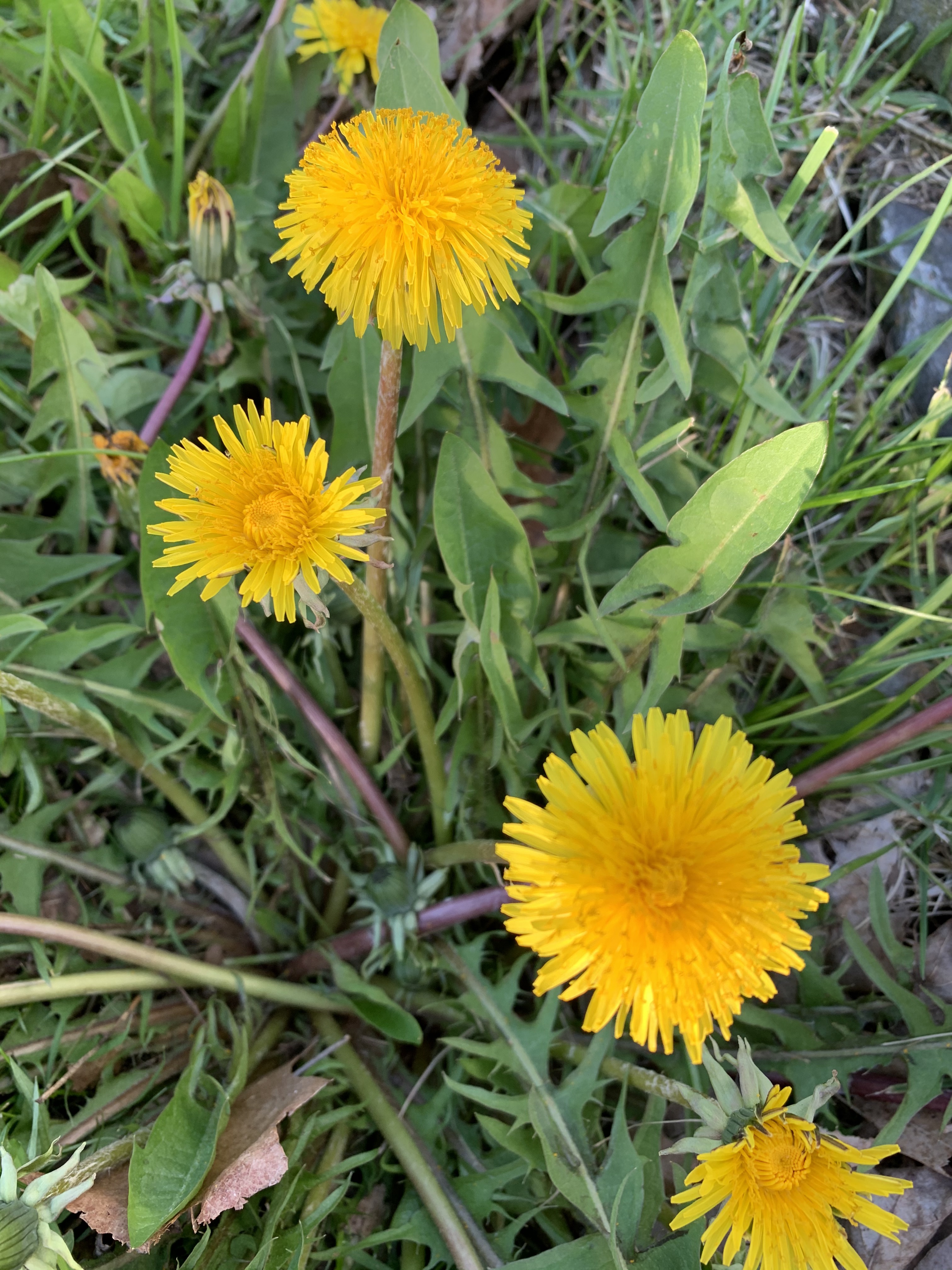 WNgr7PgBT8K3af+ZiuQaYA